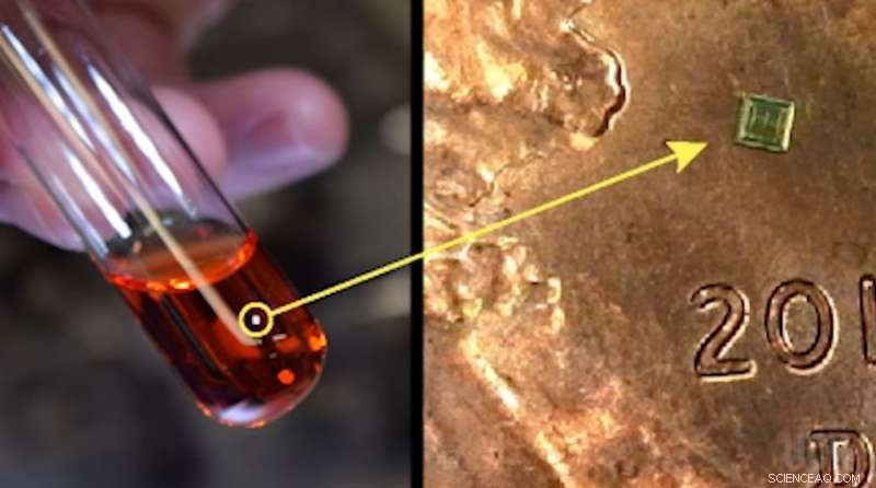 Microchip Technology Guarantees Permanent Linking of Patients to Clinical Samples