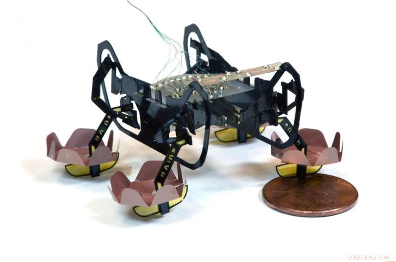 Harvard’s Advanced Robotic Cockroach Navigates Underwater Environments