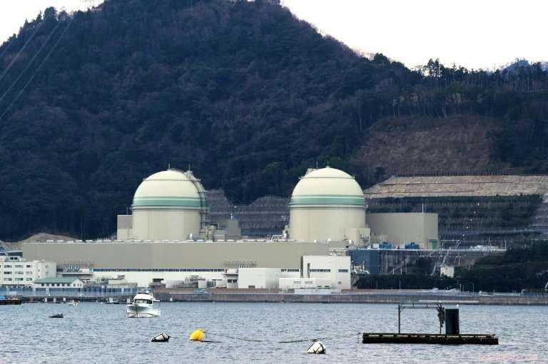 Japan Sets 24% Renewable Energy Goal While Keeping Nuclear Power Central