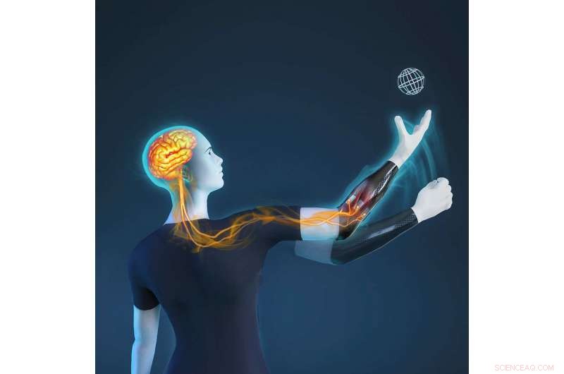 Revolutionary Self‑Learning Bionic Hand May Transform Prosthetic Limb Technology