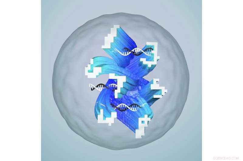 DNA Neural Network in a Test Tube Deciphers Molecular Handwriting