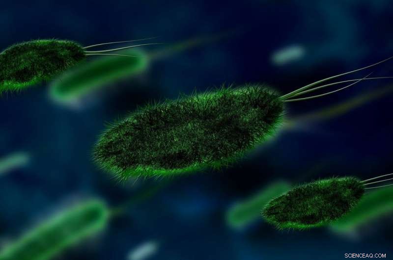 Bacteria-Powered Solar Cells Capture Light Into Energy - Even on Overcast Days