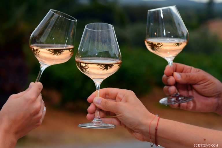 France Launches Investigation into Spanish Rosé Found in Domestic Bottles