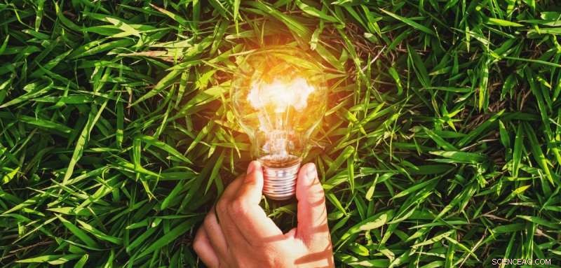 New Report Confirms Green Energy as UK’s Sustainable Future