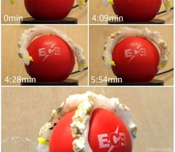 Cornell Researchers Develop Popcorn-Driven Robotic Actuators