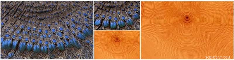 Revolutionary AI Framework Generates Ultra-Realistic Virtual Textures