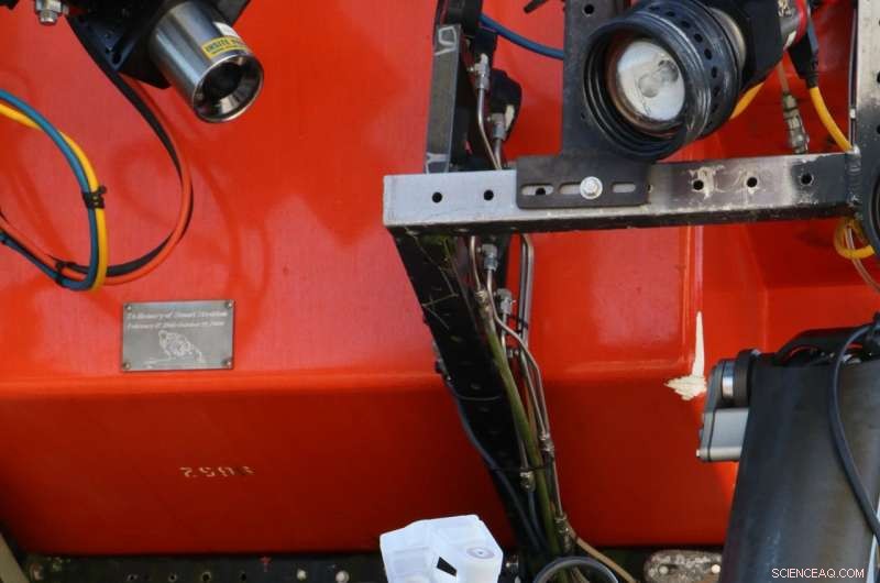 Innovative Underwater Pokéball Designed to Capture Marine Life