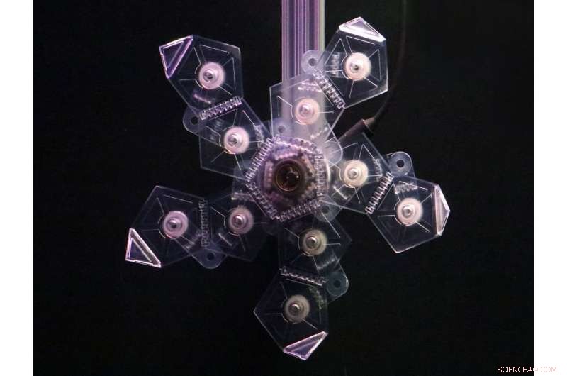 Innovative Underwater Pokéball Designed to Capture Marine Life