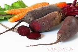 How Beets and Carrots Strengthen Concrete and Boost Sustainability
