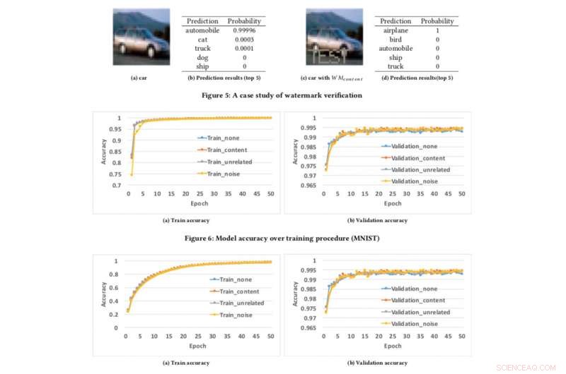 Safeguarding AI IP: Advanced Watermarking Techniques for Models