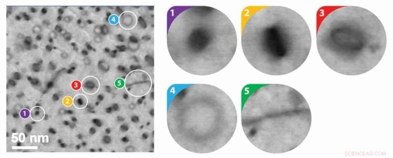 Advanced Machine Learning Algorithm Surpasses Human Experts in Nuclear Reactor Defect Detection