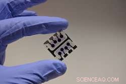 Internal Insights Promise Higher Efficiency for Organic Solar Cells