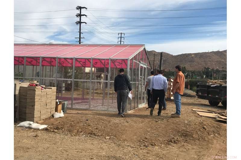 Revolutionizing Food Production with a Solar-Powered Greenhouse