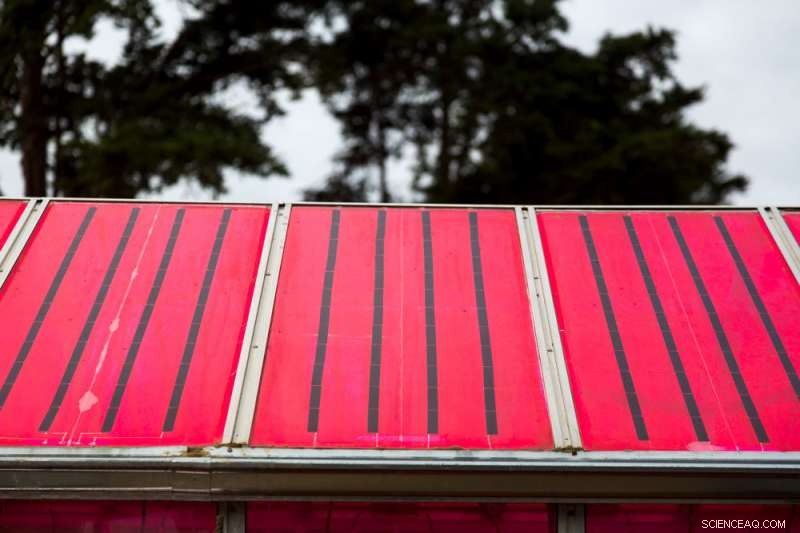 Revolutionizing Food Production with a Solar-Powered Greenhouse