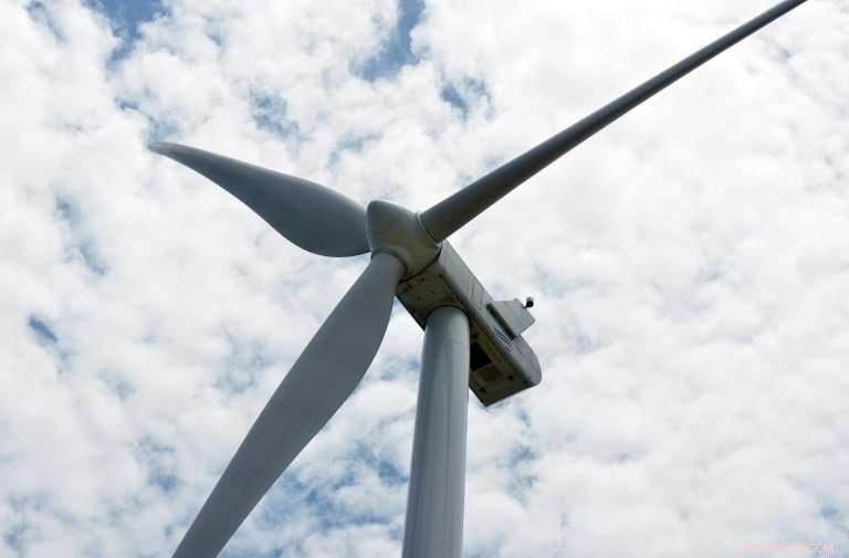 Saudi Arabia Sees Strong Interest: Four Bids Received for $500M Wind Farm Project