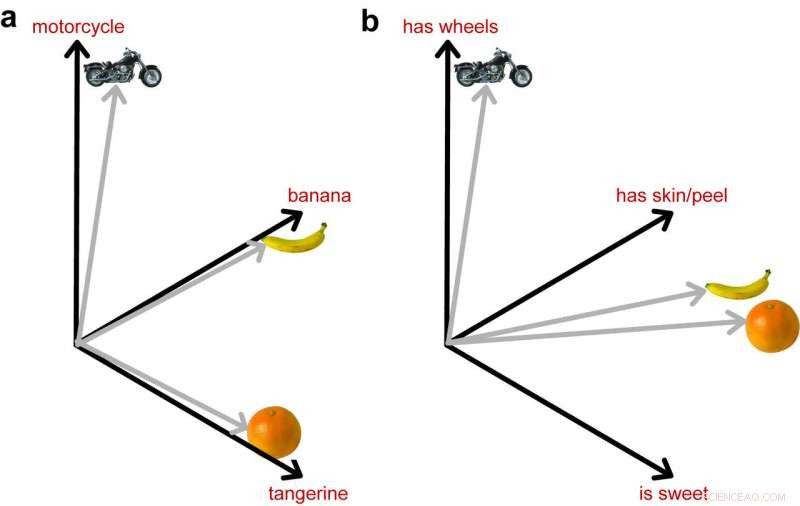 A Unified Visual‑Semantic Neural Network Model Illuminates Human Object Recognition in the Brain
