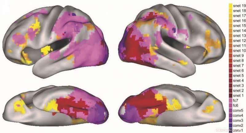 A Unified Visual‑Semantic Neural Network Model Illuminates Human Object Recognition in the Brain