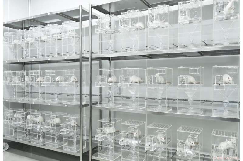 AI Beats Animal Tests in Detecting Toxic Chemicals, Revolutionizing Safety Assessments