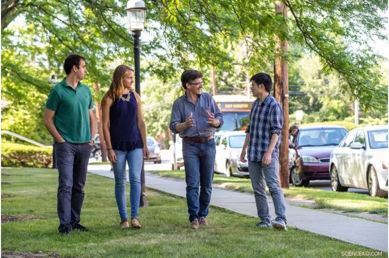 Scientists Discover Remarkable Parallels Between Photosynthesis and Engine Design