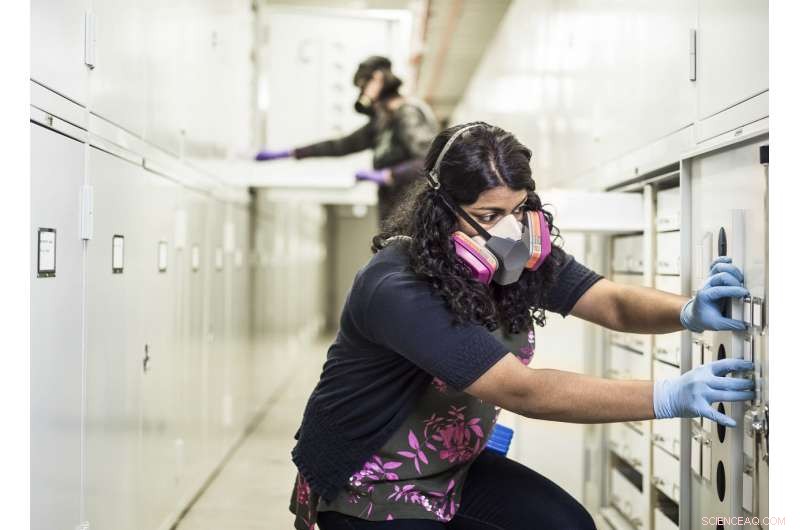 NASA Coating Tested to Shield Smithsonian Artifacts from Damage