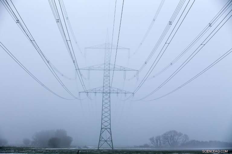 Germany Acquires Minority Stake in 50Hertz to Bolster Power Grid Security