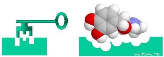 Rutgers and UCL s Rapid-Binding Framework Wins IEEE Scalable Computing Award