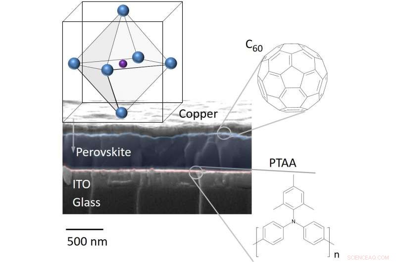 Unlocking Higher Efficiency in Perovskite Solar Cells Through Loss Process Insights