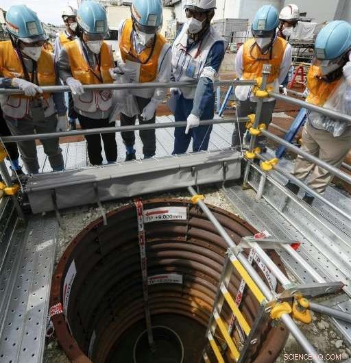 Fukushima Nuclear Plant Undertakes Image Overhaul to Restore Public Confidence