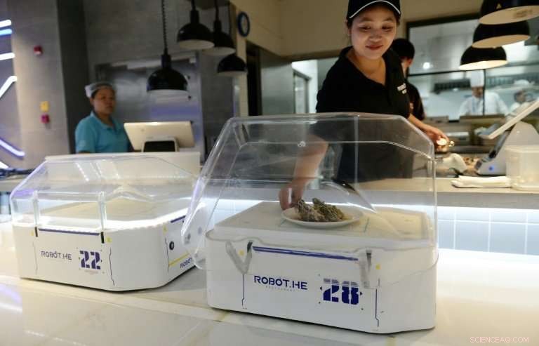 Robots Take the Floor: Shanghai’s Automated Waiters Revolutionize Dining