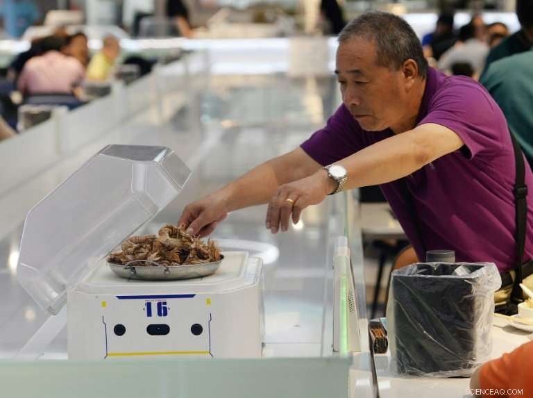 Robots Take the Floor: Shanghai’s Automated Waiters Revolutionize Dining