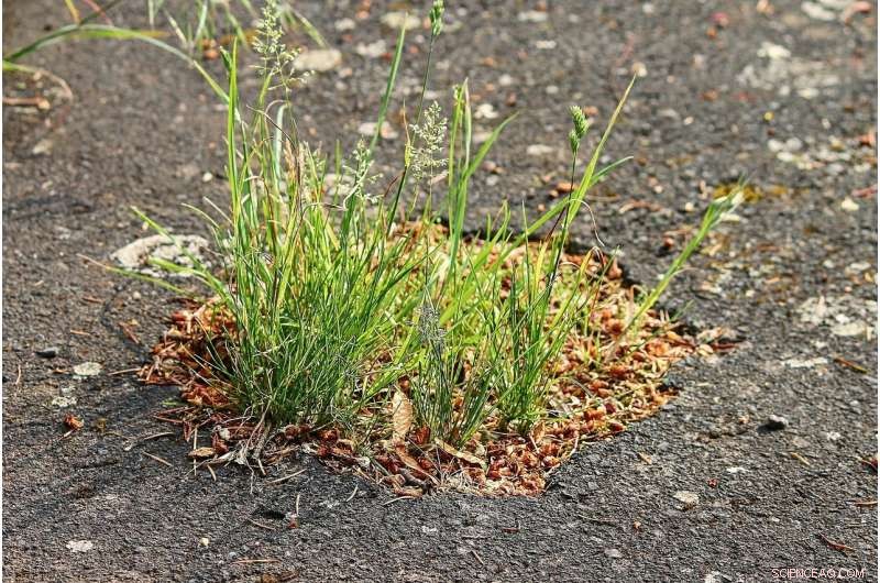 AI Tool Cuts Costs & Simplifies Pothole Detection for Governments