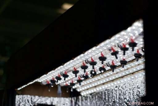 Compact Indoor Greenhouses Empower Apartment Residents to Grow Fresh Vegetables