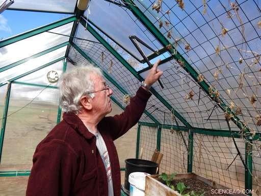 Compact Indoor Greenhouses Empower Apartment Residents to Grow Fresh Vegetables