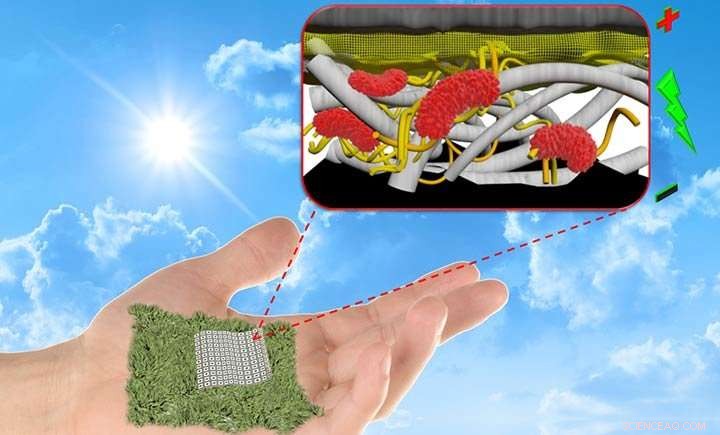 Scientists Develop Efficient, Biodegradable Paper‑Based Biobatteries