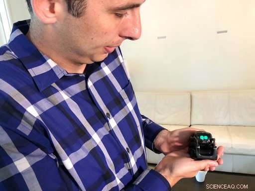 Social Robots on the Rise—Is Humanity Prepared?