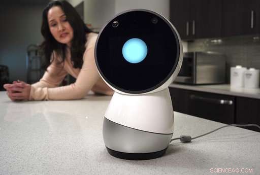 Social Robots on the Rise—Is Humanity Prepared?