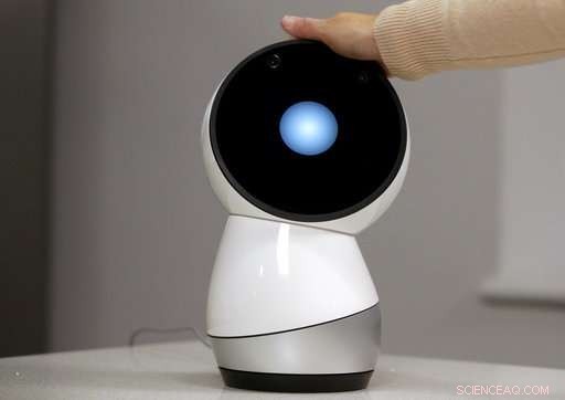 Social Robots on the Rise—Is Humanity Prepared?
