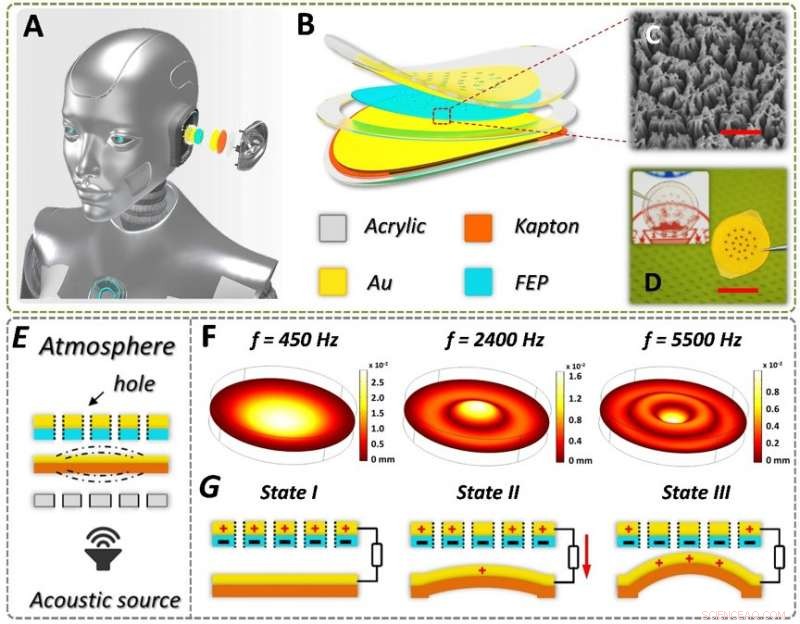 Innovative Triboelectric Auditory Sensor Boosts Robotics and Hearing Aid Performance