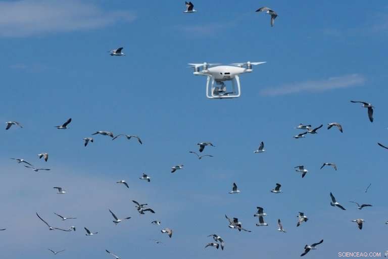 Rising Drone Threats: The Urgent Race to Strengthen Defensive Capabilities