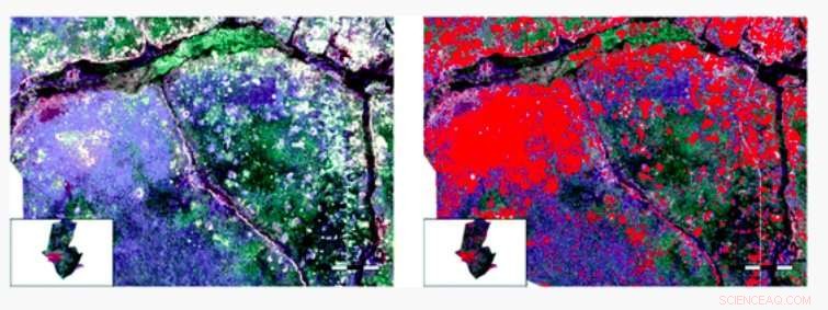 Using Remote Sensing to Boost Electrification Planning in Zambia