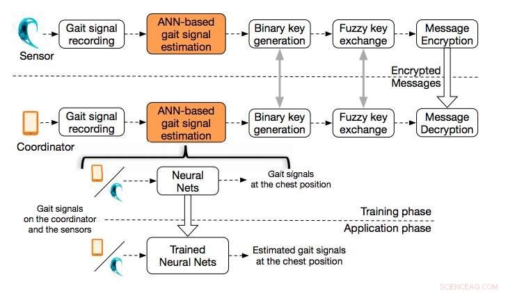 New Neural‑Network Framework Enhances Gait‑Based Biometrics for Secure Medical Device Communication