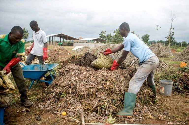 Benin Village Turns Household Waste into Biogas, Turning Trash into Treasure