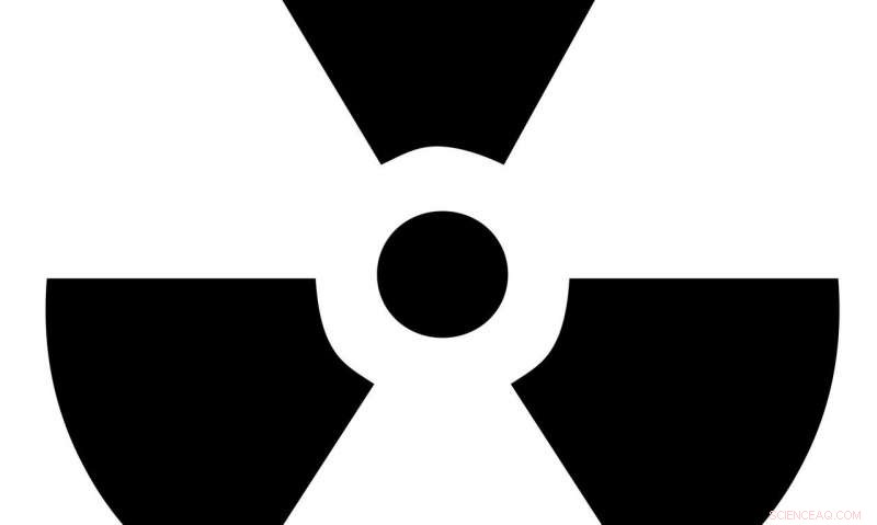 Experts Raise Safety Concerns Over Emerging Pebble-Bed Nuclear Reactors