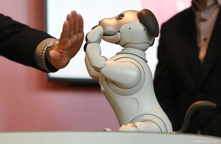 Sony Unveils AI‑Powered Aibo Robot Dogs for the U.S. Market
