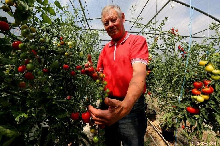 French Tomato Farmer Challenges Monsanto Over Alleged Roundup Health Claims