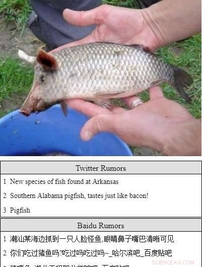 Machine Learning Tool Enhances Cross‑Language Rumor Verification Across Platforms