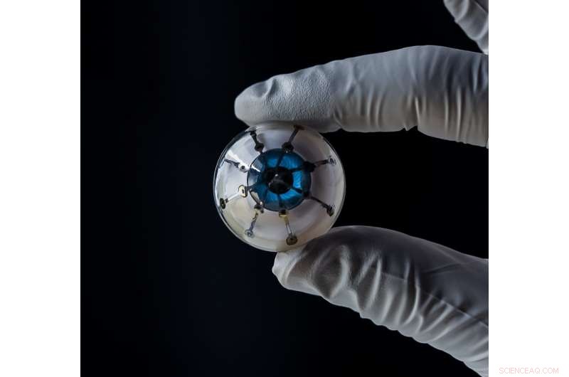 Researchers 3‑D Print First‑of‑its‑Kind Bionic Eye Prototype