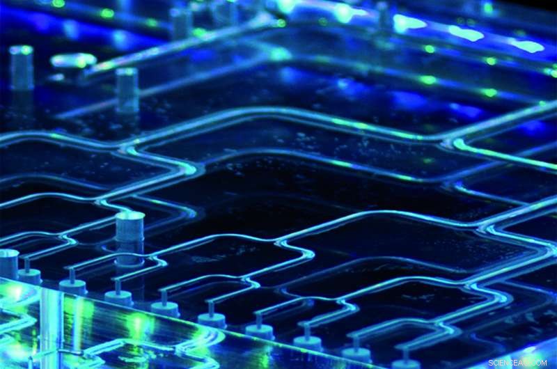 Innovative Propane Heat Pump: Eco‑Friendly, Efficient, and Reliable Heating Solution