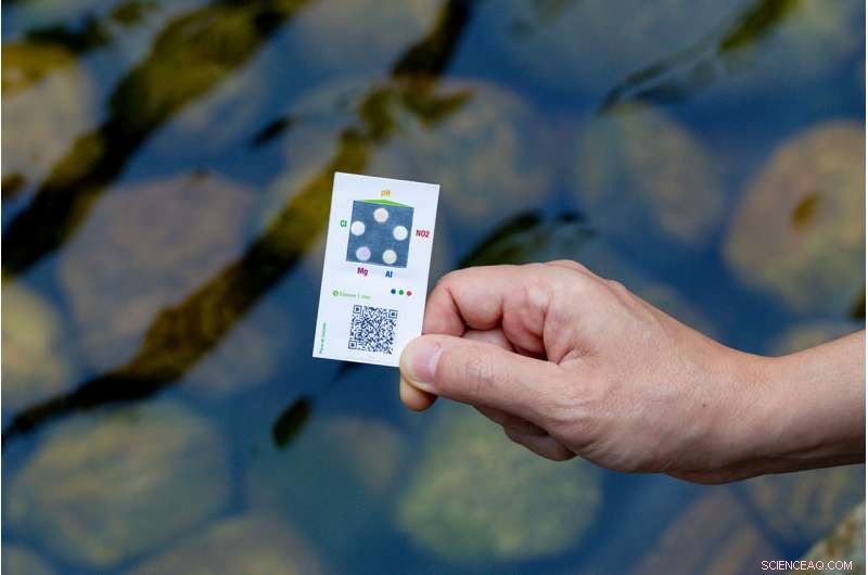 Without Farms, There Is No Food: The Critical Role of Agriculture