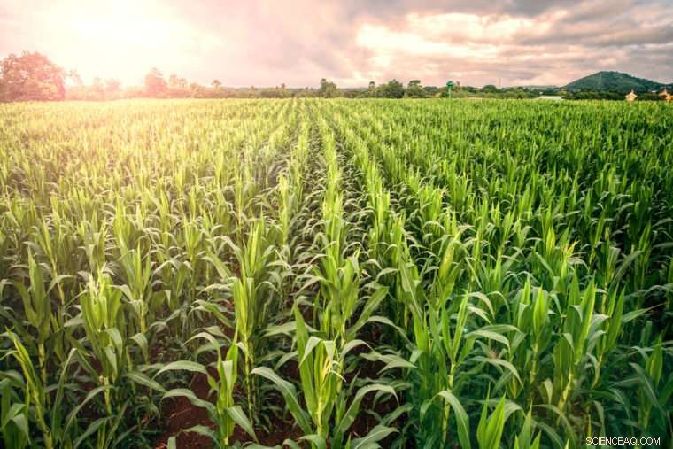 How Machine Learning Helps Farmers Pick the Best Products for Their Operations